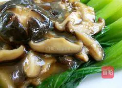 Illustration of how to cook mushrooms and rapeseed 12