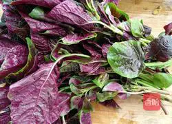 Illustration of how to make cold red amaranth 1