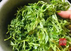 Illustration of how to make alfalfa mixed with soy sauce 1