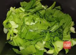 Garlic Mustard Recipe Illustration 5