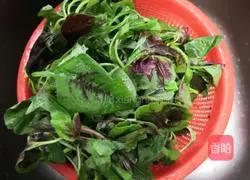 Illustration of how to make garlic amaranth 2