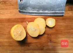 Lemon shredded chicken recipe 10
