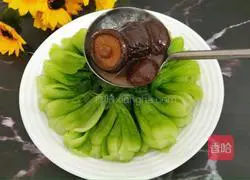 Illustration of making mushrooms and Shanghai green 12