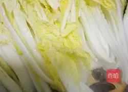 Illustration of how to make bean sprouts 9