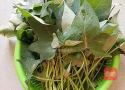 Illustration of how to stir-fry sweet potato leaves 1