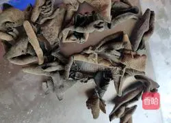 Lily mixed with fungus Illustration of how to do it 2