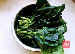 Garlic spinach recipe 1