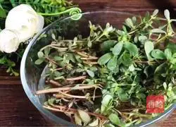 Illustration of how to make fungus mixed with purslane 1