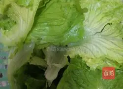 Illustration of cooking oil-consuming lettuce 2