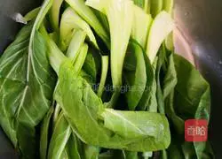 Illustration of how to make mushrooms and rapeseed 3