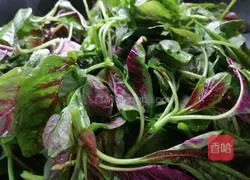 Illustration of how to make minced garlic and red amaranth 4