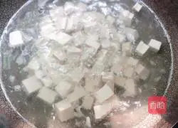 Illustration of how to make Mapo Tofu 2