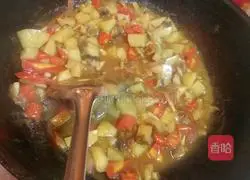 Vegetarian Curry Recipe Illustration 8