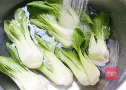 Illustration of how to make mushrooms and rapeseed 4