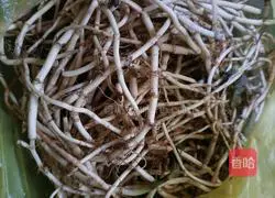 Illustration of how to make cold folded ear root 1