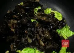 Illustration of how to stir-fry cabbage and fungus 13
