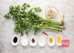 Illustration of how to make cashew nuts and celery 1