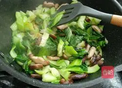 Saute the mushrooms with the rapeseed Illustration of how to do it 12