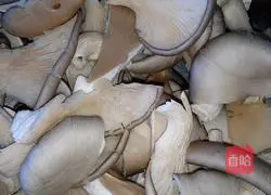 Illustration of how to make fried mushrooms 1