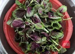 Illustration of how to make red amaranth with garlic and shrimp skin 2