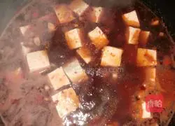Mapo tofu recipe 10