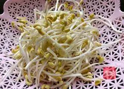 Fried lettuce with soybean sprouts Practice illustration 2