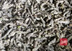 Illustration of how to steam Chu without pulling the seeds 3