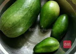 Appetizing green cantaloupe recipe 1