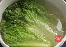 Oyster Sauce Lettuce Recipe Illustration 4