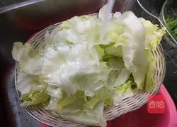 Illustration of how to make oil-consuming lettuce 6