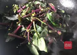 Vinegar Hongshan Vegetable Moss Practice illustration 5