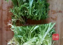 Vegetarian Illustration of how to cook chicory 3