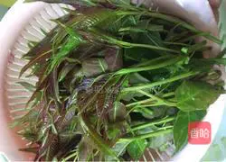 Illustration of how to make cold Chinese toon 2