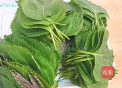 Illustration of how to make perilla leaf pickles 1