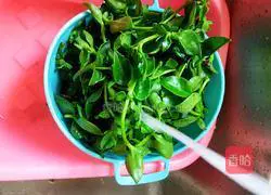 Illustration of how to make cold Tianqi vegetables 2