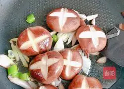 Illustration of how to make oil-consuming mushrooms and rapeseed 2