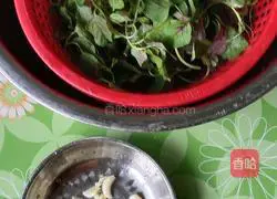 Illustration of how to make stir-fried red amaranth 2