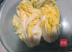 Korean kimchi is spicy Illustration of how to make cabbage 1