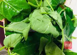 Illustration of how to stir-fry sweet potato leaves 1