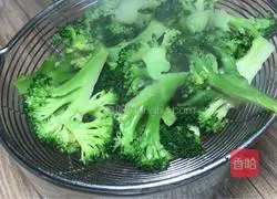 Illustration of how to make oyster sauce, wolfberry and broccoli 6