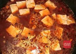 Illustration of Mapo Tofu Recipe 11