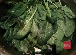 Illustration of how to make cold spinach and enoki mushrooms 1