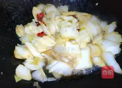 Vinegar Cabbage Recipe Illustration 9