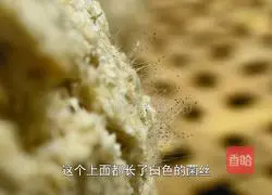 Illustration of how to make molded bean dregs from the leftover soybean milk and stir-fry it with pork belly.It is so fragrant 5