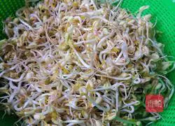 Illustration of how to make self-sprouted bean sprouts 4