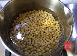 Illustration of how to cook soybeans and celery 2