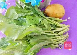 Illustration of how to make stir-fried cabbage hearts with potatoes 1