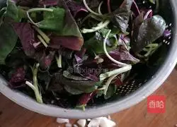 Illustration of how to make garlic amaranth 1