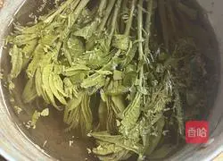 Illustration of how to make Chinese toon mixed with tofu 2