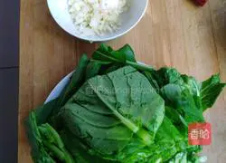 Boiled Illustration of how to make cabbage 1